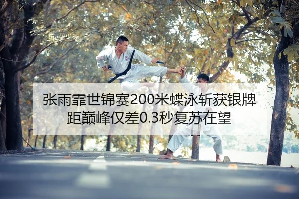 张雨霏世锦赛200米蝶泳斩获银牌 距巅峰仅差0.3秒复苏在望